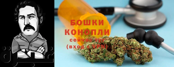 PSILOCYBIN Волоколамск