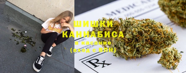 стаф Коряжма