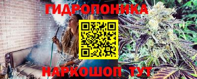 не бодяженный Бийск