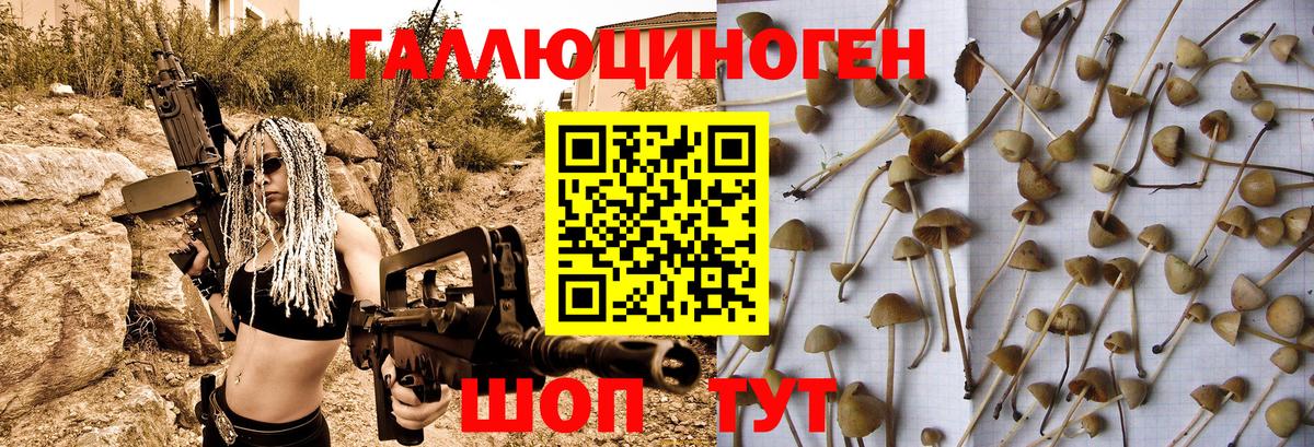 Псилоцибиновые грибы прущие грибы  Бирск 