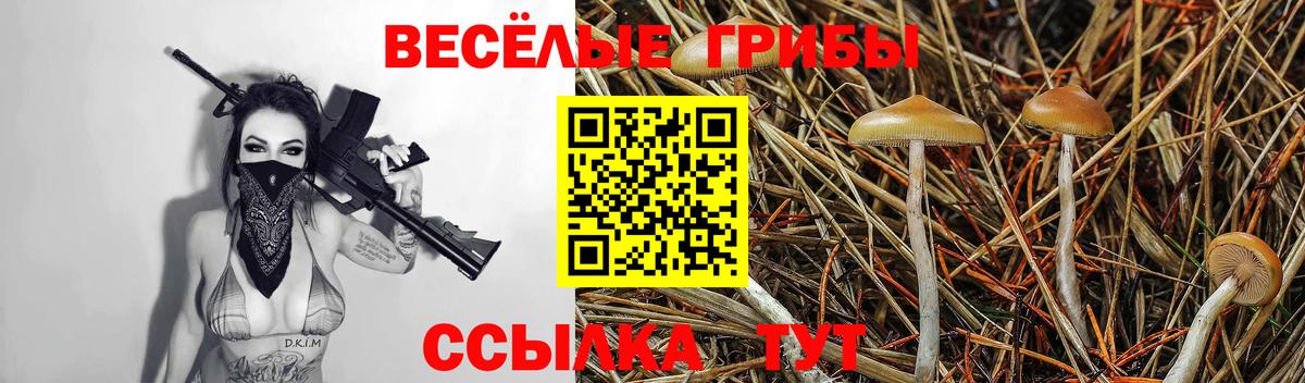 Бирск  Псилоцибиновые грибы мухоморы  Вход с VPN  купить закладку  Галлюциногенные грибы GOLDEN TEACHER 